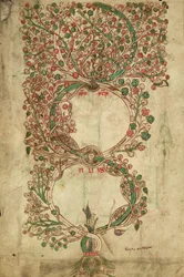 MS 255A fol.12v dal Liber Figuarum